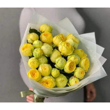 11 peony bush roses Peony Bubbles